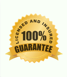 Licensed and insured badge